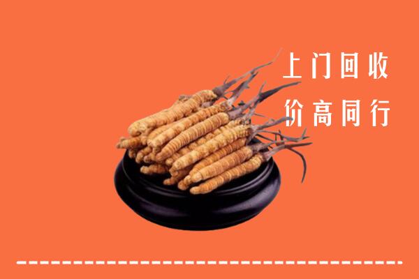附近收购：赤城县冬虫夏草回收多少钱每克