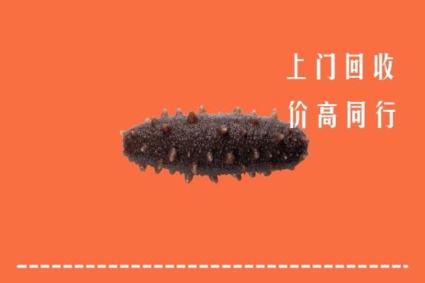 赤城县回收海参
