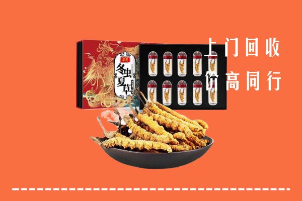 赤城县回收虫草